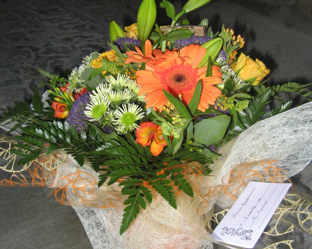 A partir de 35/50€