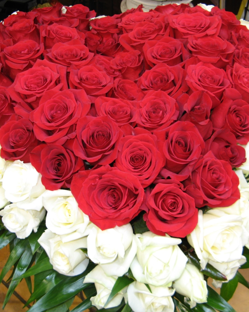 A partir de 260/280€