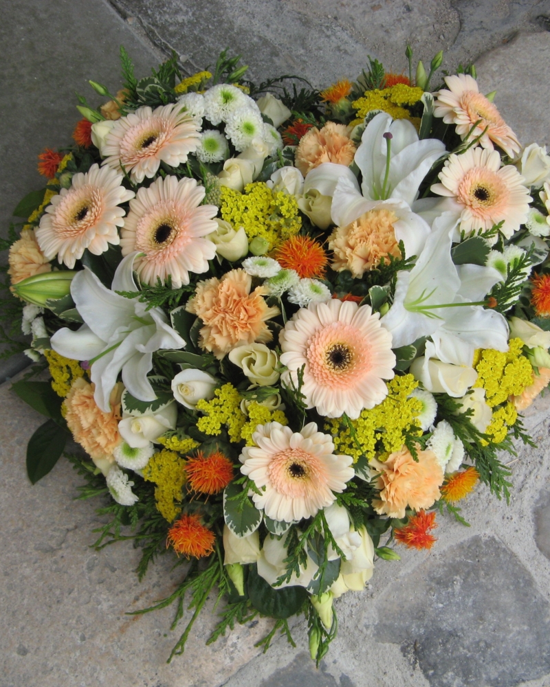 A partir de 150/180€