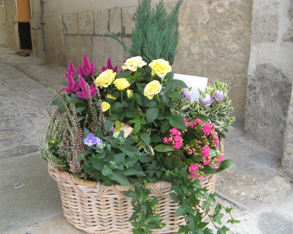 A partir de 90/100€